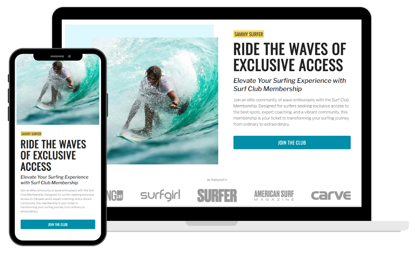 CustomerHub sales page